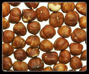 MACADAMIA NUTS