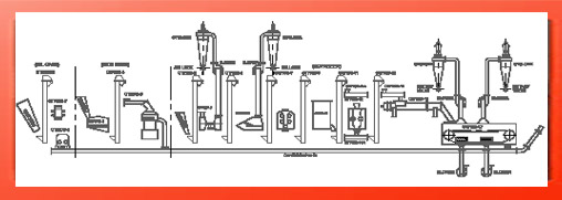 vegetable oil processing